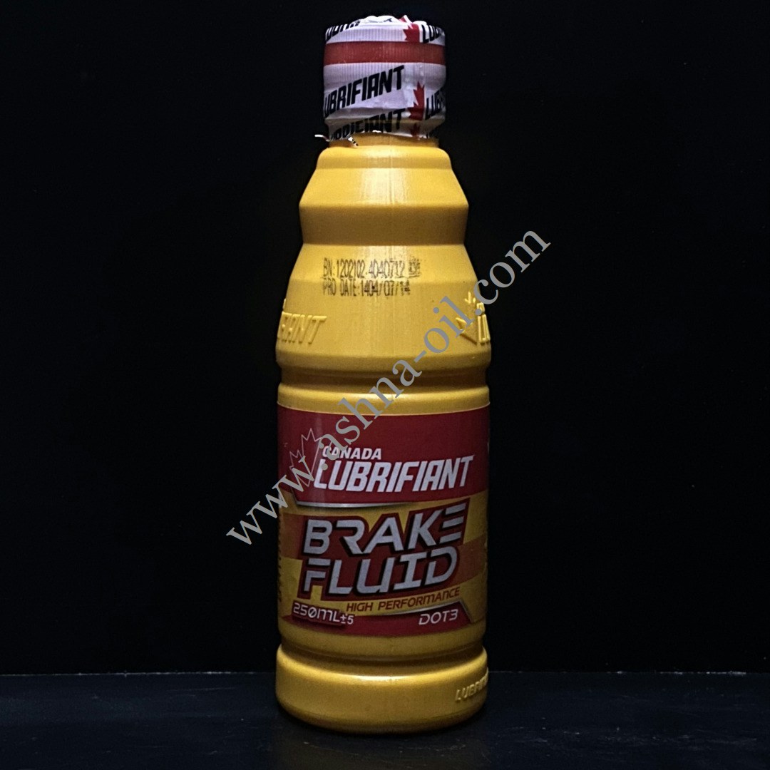 20251019_161226_884445621 (1)